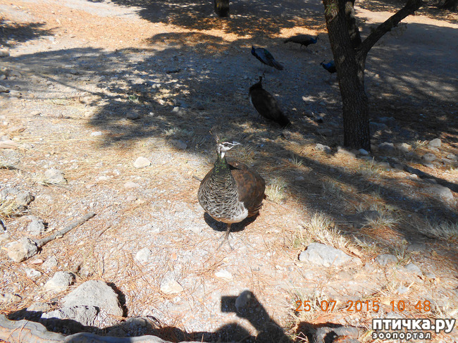 ���� 29: �� ������ �� ����������