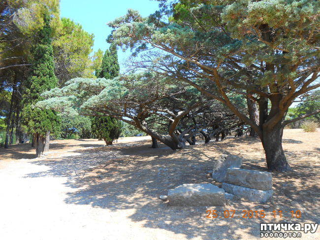 ���� 32: �� ������ �� ����������