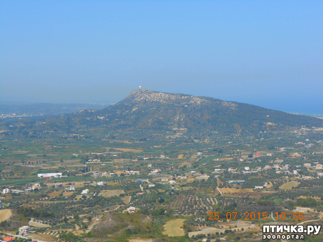 ���� 38: �� ������ �� ����������