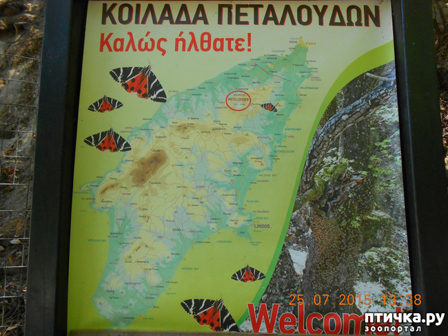 ���� 39: �� ������ �� ����������