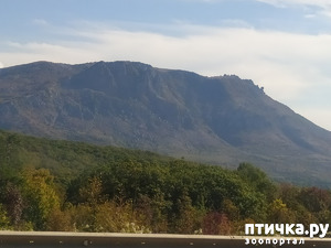 ����: ��� ���� ���������?