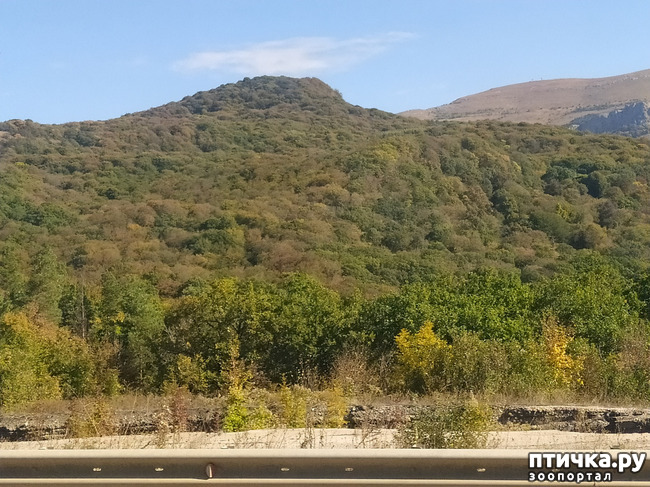 ���� 2: ��� ���� ���������?