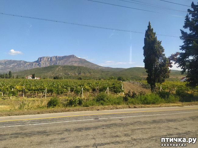 ���� 3: ��� ���� ���������?