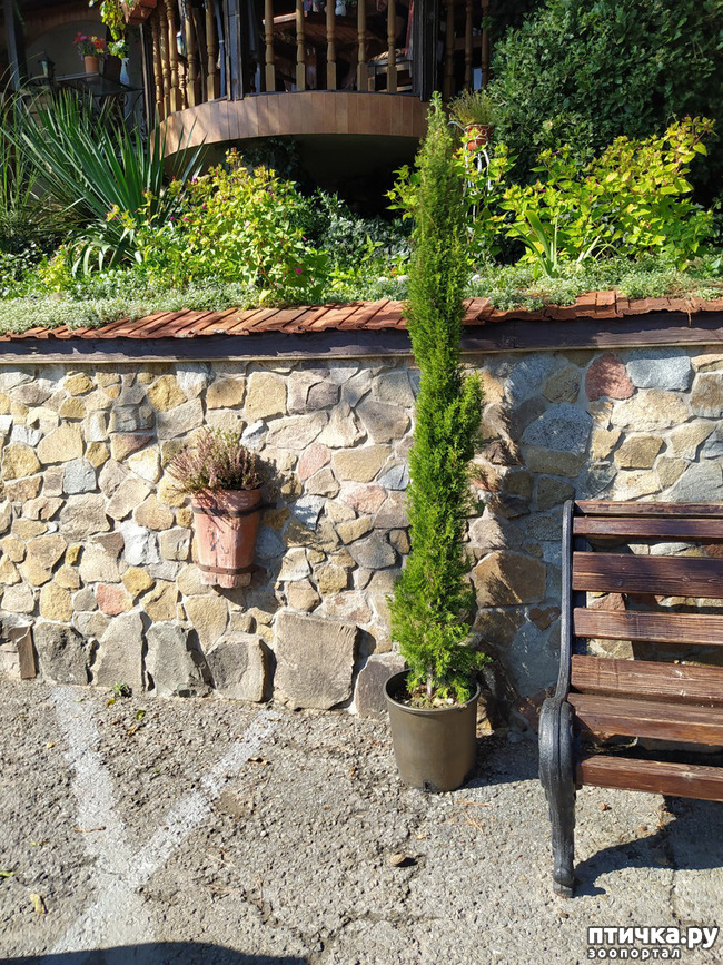 ���� 5: ��� ���� ���������?