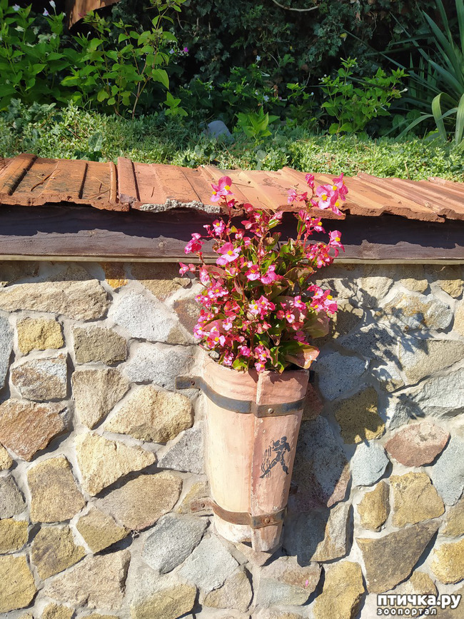 ���� 6: ��� ���� ���������?