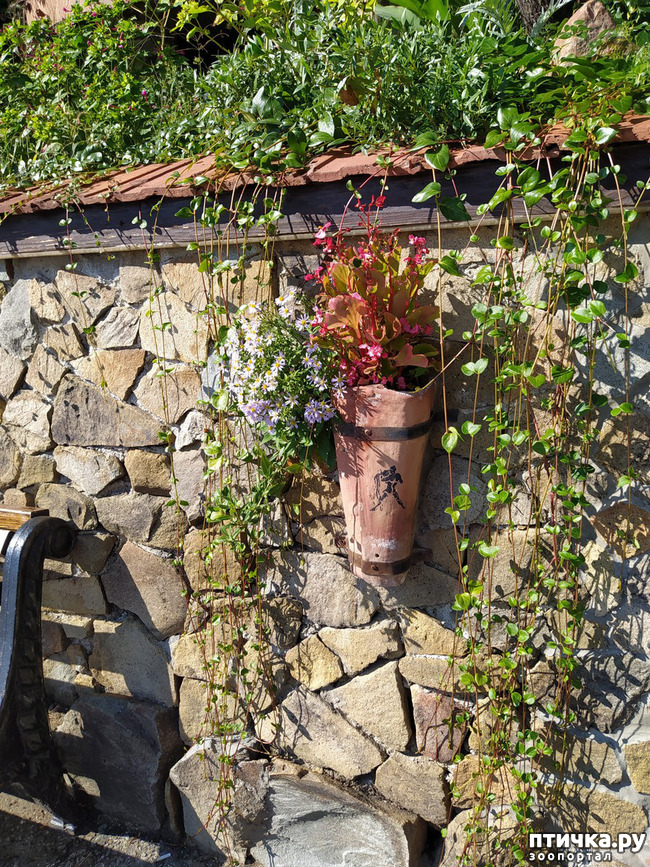 ���� 7: ��� ���� ���������?