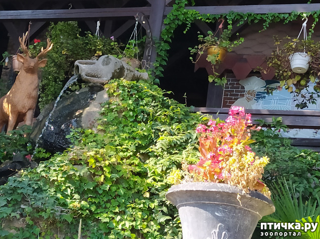 ���� 11: ��� ���� ���������?