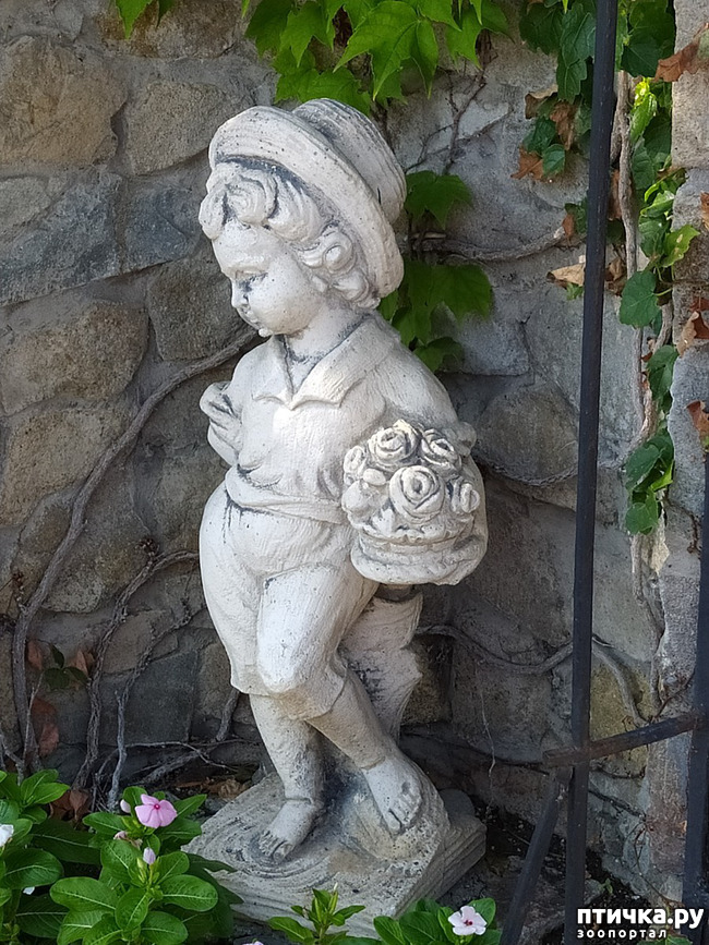 ���� 8: ��� ���� ���������?