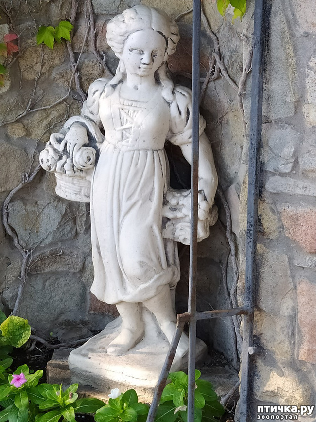 ���� 9: ��� ���� ���������?