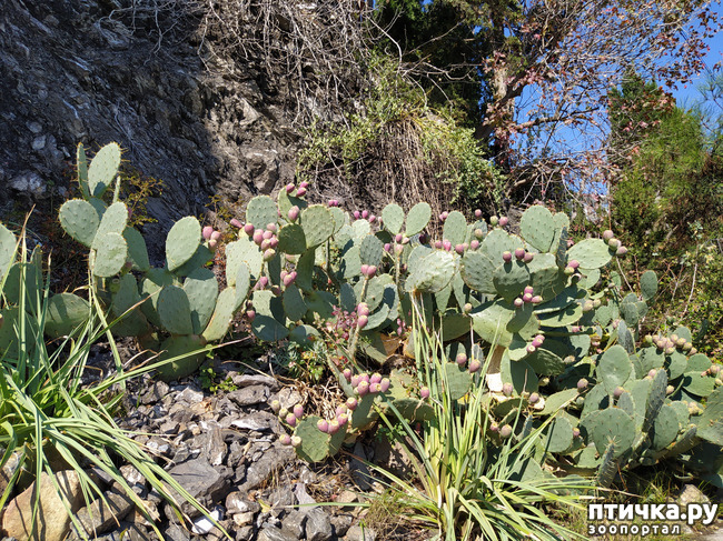 ���� 12: ��� ���� ���������?