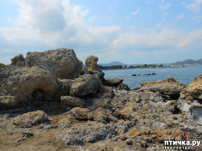 ���� 5: �� ������ �� ����������