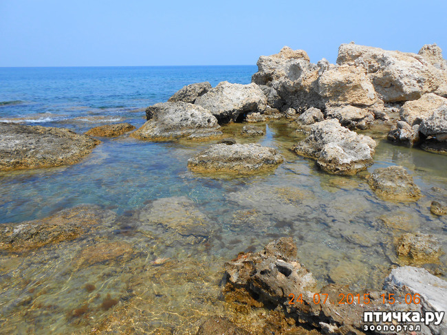 ���� 6: �� ������ �� ����������