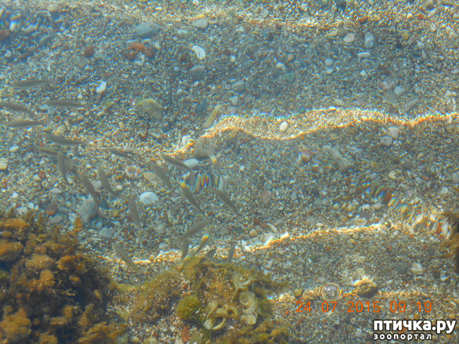 ���� 7: �� ������ �� ����������