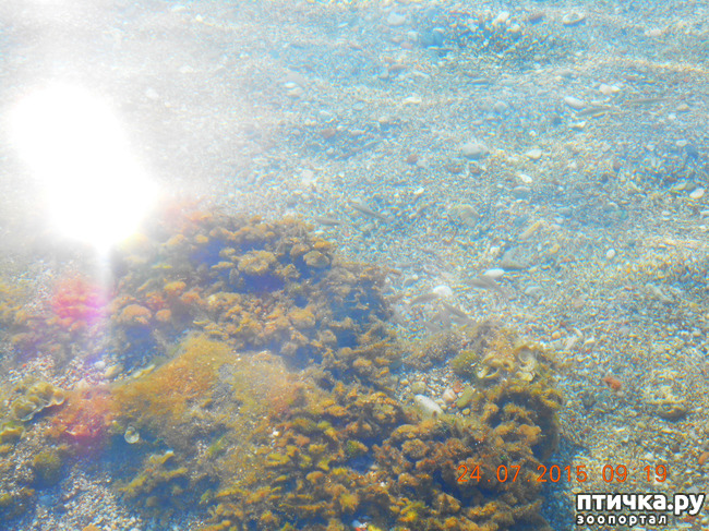 ���� 8: �� ������ �� ����������