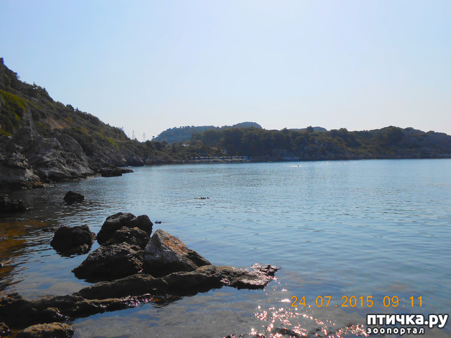 ���� 11: �� ������ �� ����������