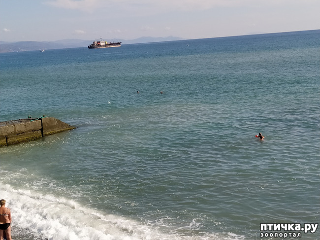 ���� 13: ��� ���� ���������?