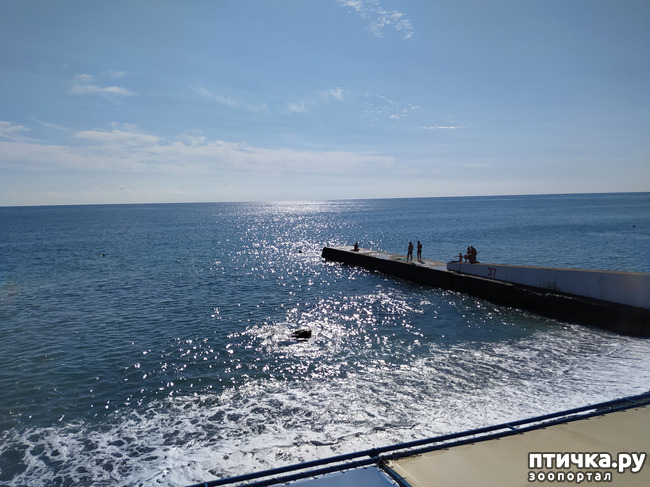 ���� 14: ��� ���� ���������?