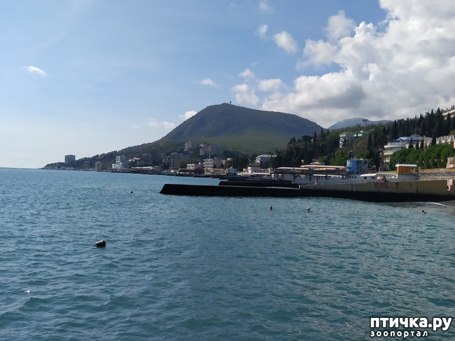 ���� 17: ��� ���� ���������?