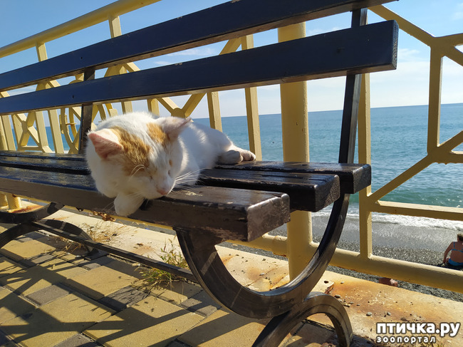 ���� 20: ��� ���� ���������?