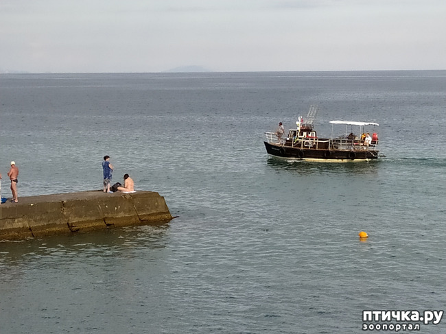 ���� 21: ��� ���� ���������?