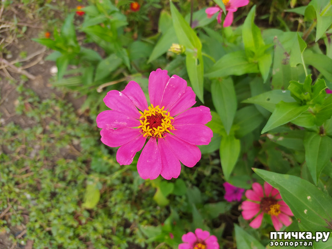 ���� 22: ��� ���� ���������?