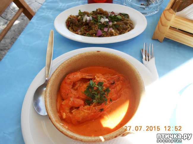 ���� 12: �� ������ �� ����������