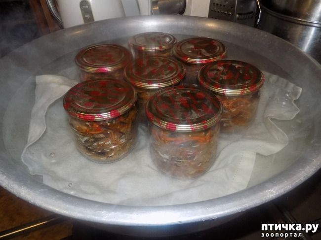 ���� 11: ������ �������� �� ��������� ������. �������� ��-���������.