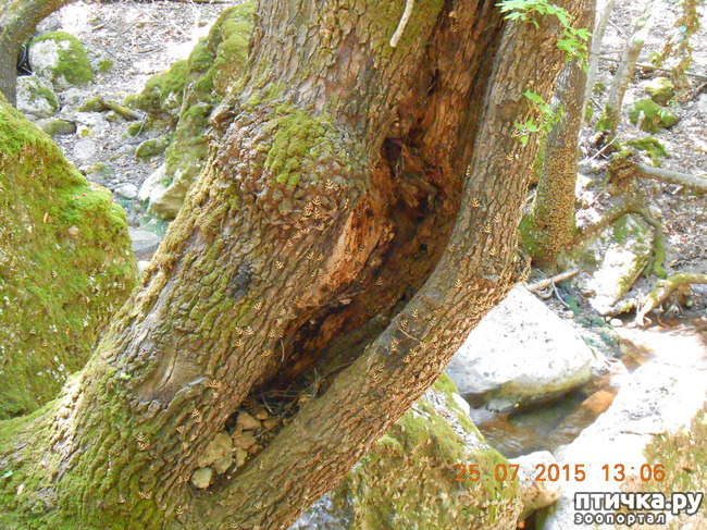 ���� 41: �� ������ �� ����������