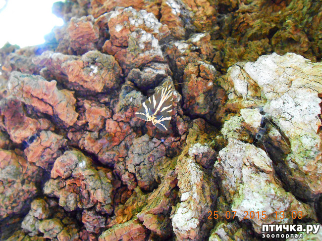 ���� 42: �� ������ �� ����������