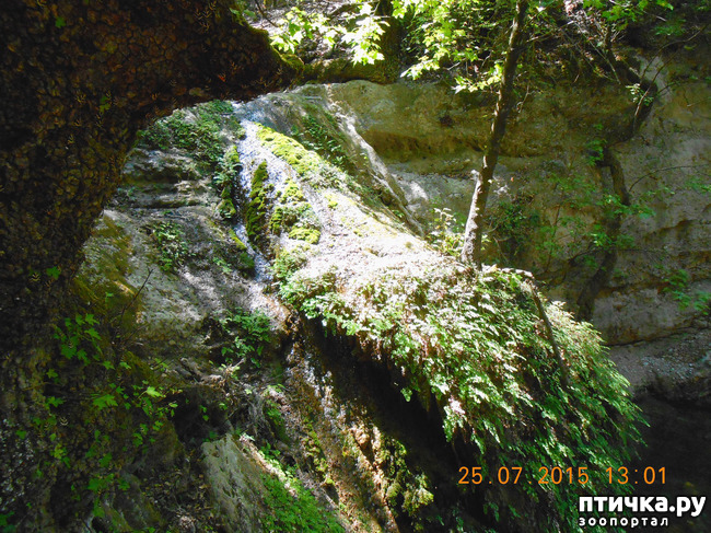 ���� 43: �� ������ �� ����������