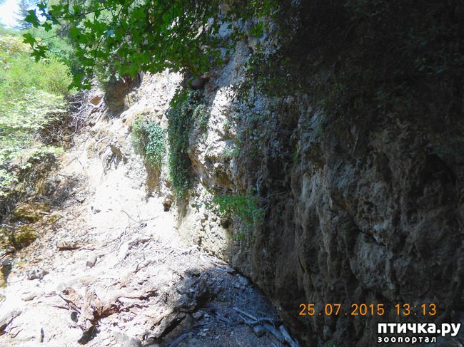 ���� 40: �� ������ �� ����������