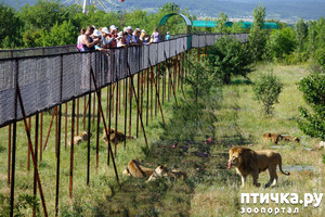 ����: ���� ������. 670 �������� ��������� �� ���������� ����������� �����.