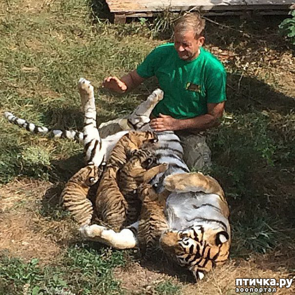 ���� 2: ���� ������. 670 �������� ��������� �� ���������� ����������� �����.