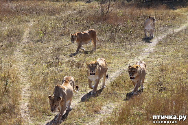 ���� 3: ���� ������. 670 �������� ��������� �� ���������� ����������� �����.