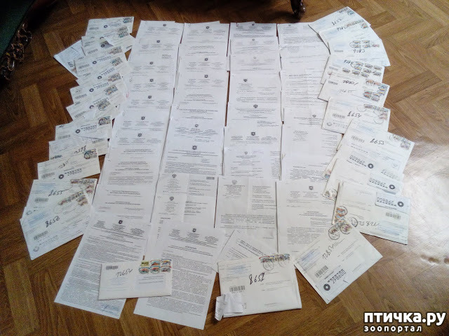 ���� 6: ���� ������. 670 �������� ��������� �� ���������� ����������� �����.