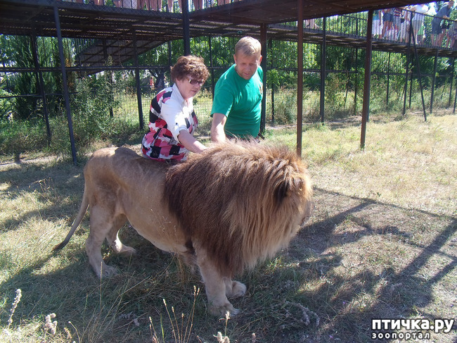 ���� 11: ���� ������. 670 �������� ��������� �� ���������� ����������� �����.