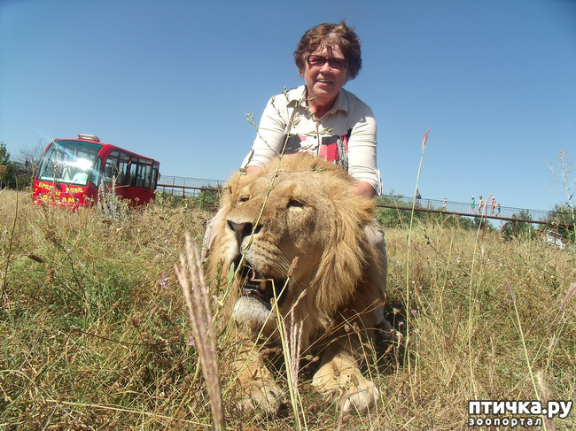 ���� 12: ���� ������. 670 �������� ��������� �� ���������� ����������� �����.