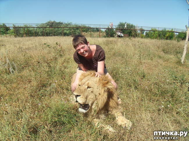 ���� 13: ���� ������. 670 �������� ��������� �� ���������� ����������� �����.