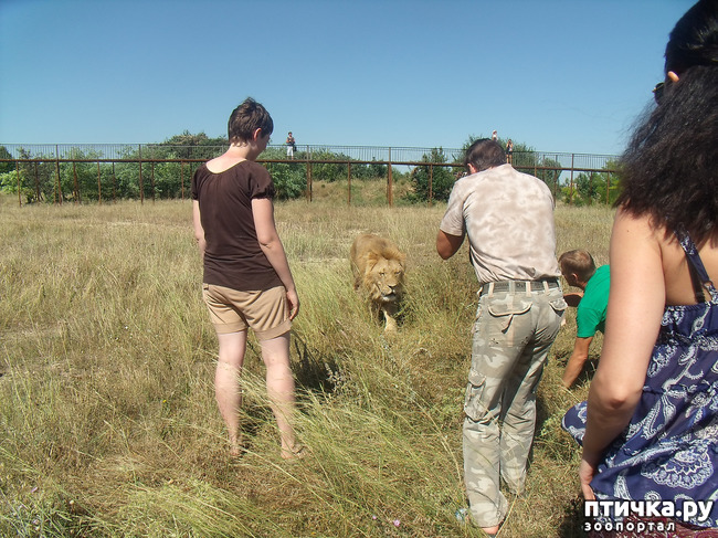 ���� 14: ���� ������. 670 �������� ��������� �� ���������� ����������� �����.