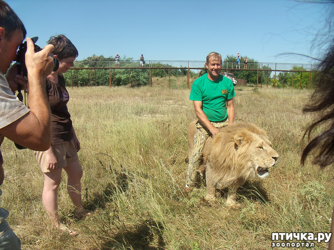 ���� 15: ���� ������. 670 �������� ��������� �� ���������� ����������� �����.