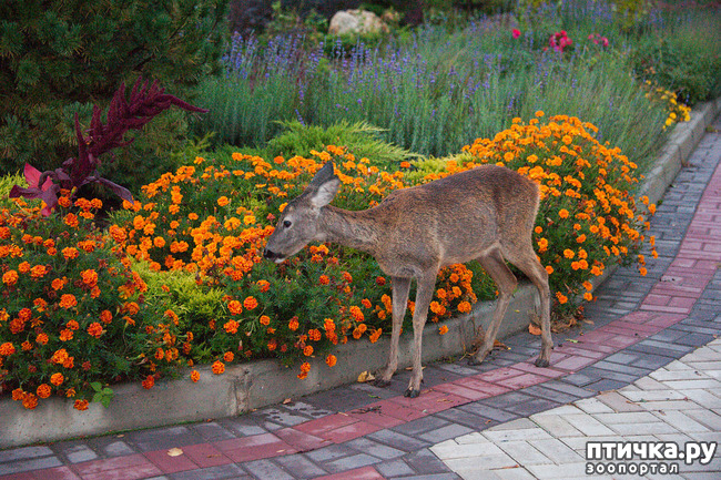 ���� 8: ���� ������. 670 �������� ��������� �� ���������� ����������� �����.