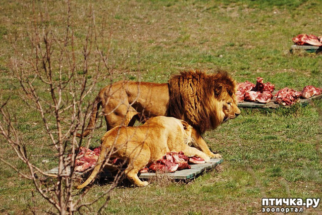 ���� 4: ���� ������. 670 �������� ��������� �� ���������� ����������� �����.