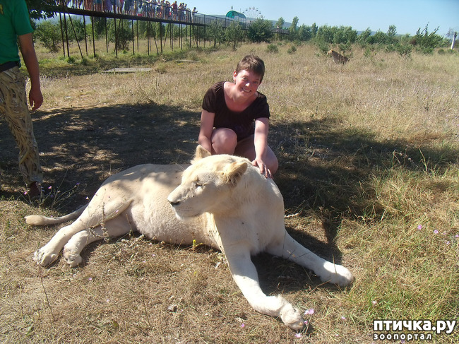 ���� 10: ���� ������. 670 �������� ��������� �� ���������� ����������� �����.