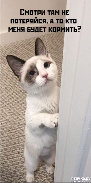 ���� 2: ��������