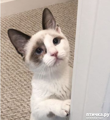 ���� 3: ��������