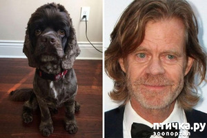 фотография: Друг ты мне или брат? фото: Друг ты мне или брат?