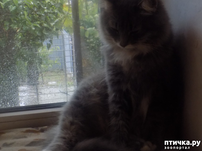 ���� 1: ��� ��� � ����� ������.