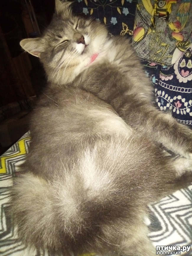 ���� 2: ��� ��� � ����� ������.