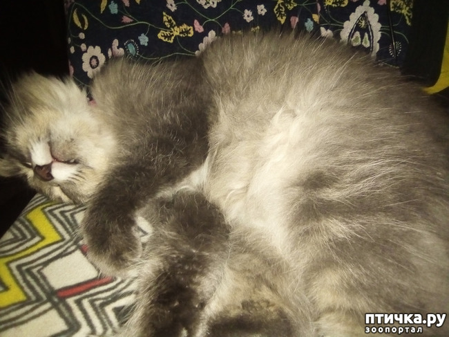 ���� 3: ��� ��� � ����� ������.