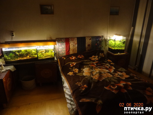 ���� 2: �������������